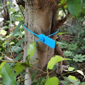 Plastic Security Seals Application in Forestry